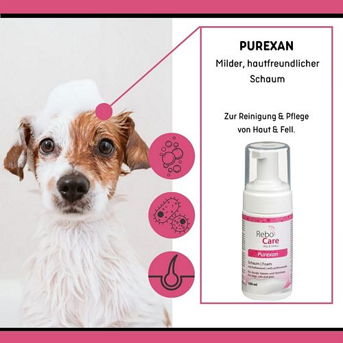 reboVet - ReboCare - PUREXAN - Fellpflege-Schaum - 100 ml