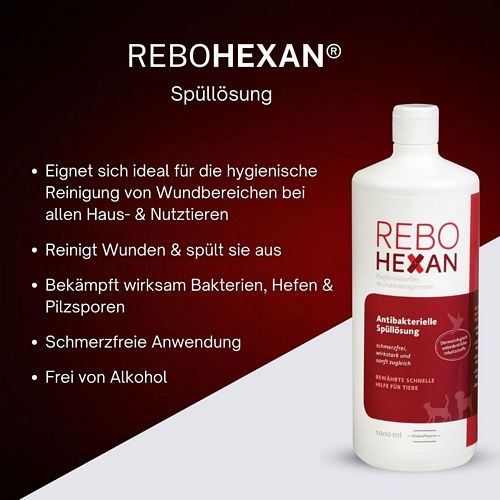 reboVet - ReboHexan - ANTIBAKTERIELLE SPÜLLÖSUNG - 1000 ml