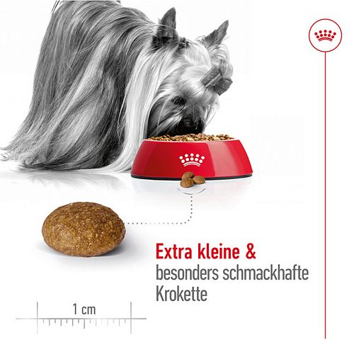 Royal Canin X-SMALL Adult 8+ Trockenfutter für sehr kleine Hunde 500g