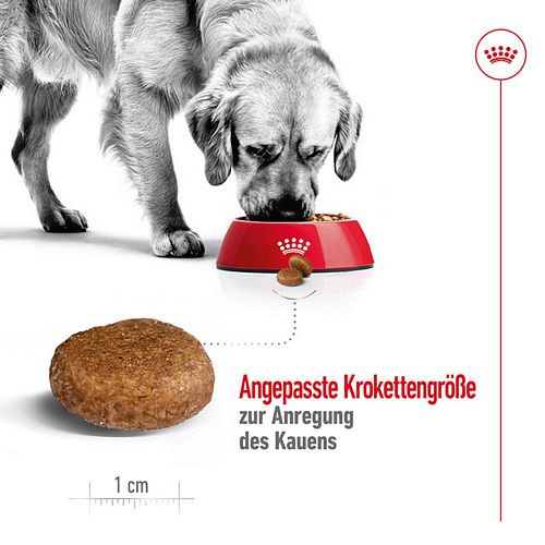 Royal Canin MAXI Adult 5+ Trockenfutter für ältere große Hunde 4kg