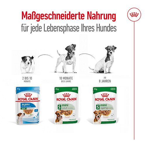 Royal Canin MINI ADULT Nassfutter für ausgewachsene kleine Hunde 12 x 85g