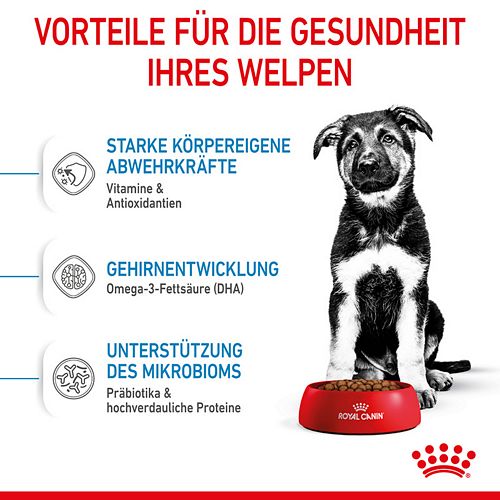 Royal Canin - MAXI PUPPY - Trockenfutter Hund - 4 kg