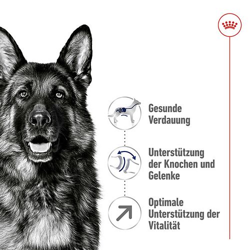 Royal Canin MAXI Adult 5+ Trockenfutter für ältere große Hunde 4kg