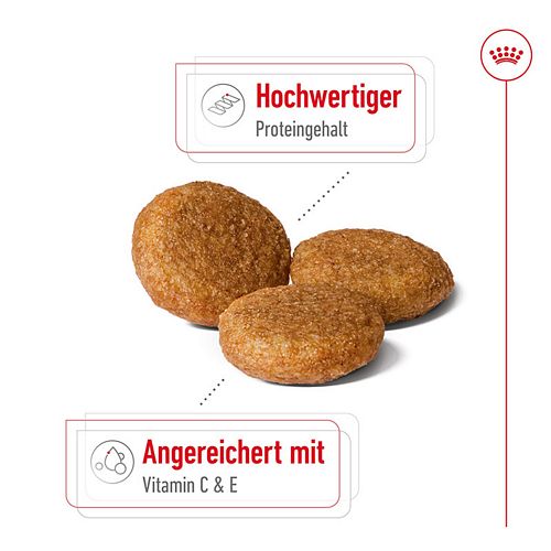 Royal Canin MEDIUM Adult Trockenfutter für mittelgroße Hunde 10kg