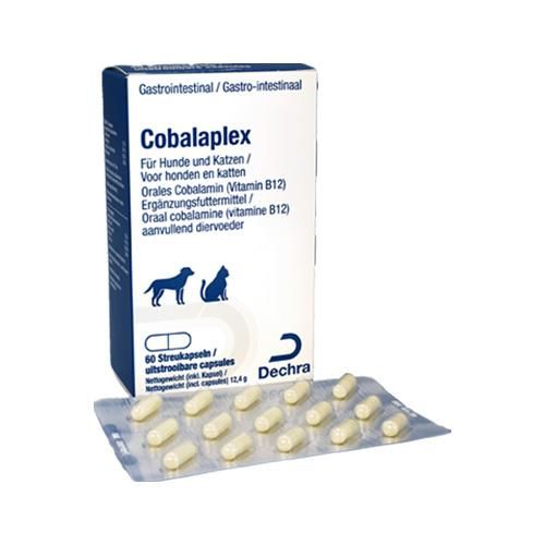 Protexin - COBALAPLEX - 60 Kapseln