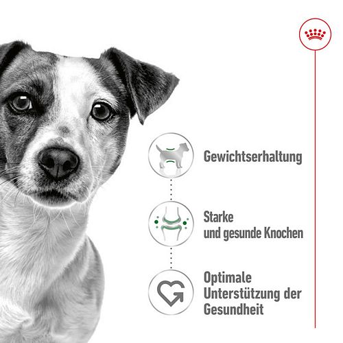 Royal Canin MINI ADULT Nassfutter für ausgewachsene kleine Hunde 12 x 85g