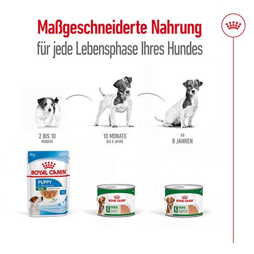 Royal Canin MINI AGEING 8+ - Nassfutter HUND - 12 x 195 g