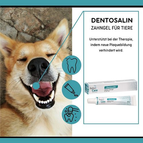 reboVet - ReboCare - DENTOSALIN - Zahngel - 20 ml