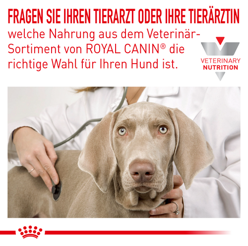 ROYAL CANIN  Veterinary ANALLERGENIC SMALL DOG Trockenfutter für kleine Hunde 1,5 kg