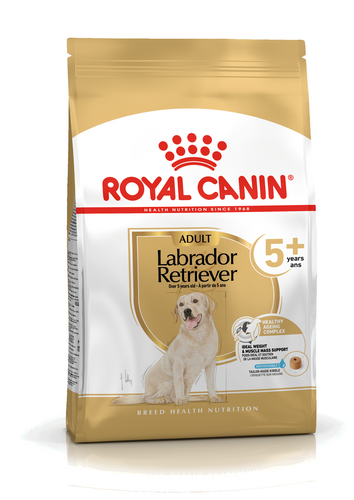 Royal Canin Labrador Retriever Adult 5+ Trockenfutter für Hunde ab 5 Jahren 