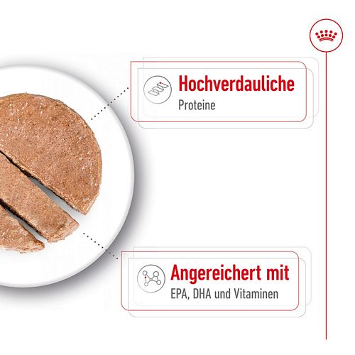 Royal Canin MAXI AGEING 12+ - Nassfutter für ausgewachsene große Hunde - 12 x 410 g