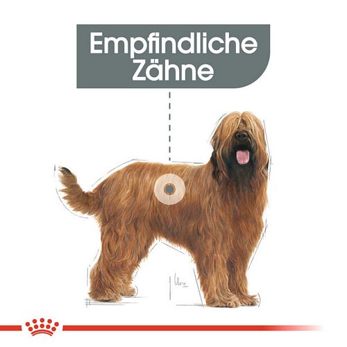 Royal Canin DENTAL CARE MAXI Trockenfutter für große Hunde mit empfindlichen Zähnen 9 kg