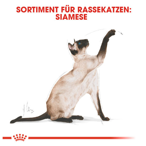 Royal Canin Siamese Adult Katzenfutter trocken