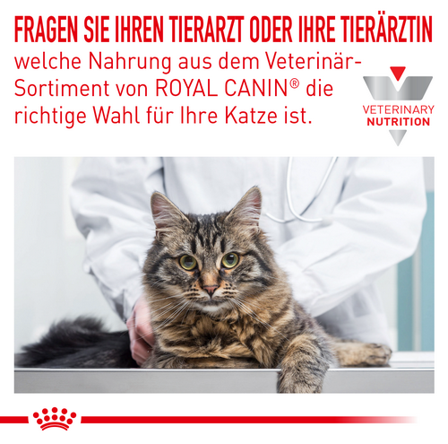 Royal Canin Veterinary SKIN & COAT  Trockenfutter für Katzen 3,5 kg