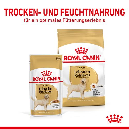 Royal Canin Labrador Retriever Adult Stückchen in Soße Nassfutter für Hunde