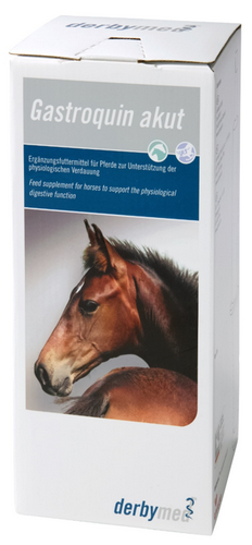 derbymed Gastroquin akut Injektor für Pferde und Fohlen 4 x 60 ml