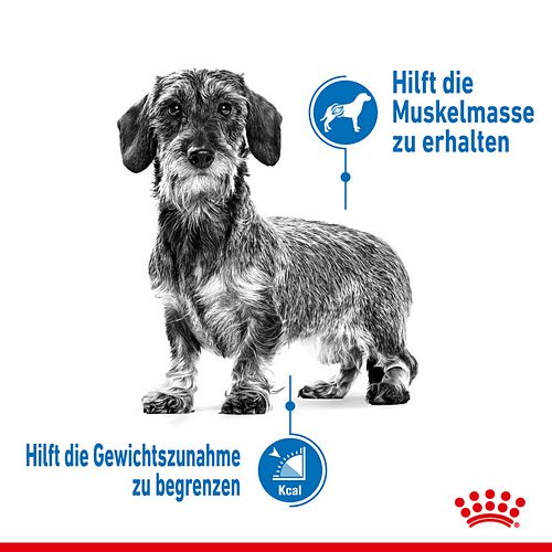 Royal Canin LIGHT WEIGHT CARE X-SMALL - Trockenfutter für sehr kleine Hunde - 1,5 kg