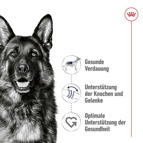 Royal Canin MAXI ADULT - Nassfutter für große Hunde - VOLLE VE - 10 x 140 g