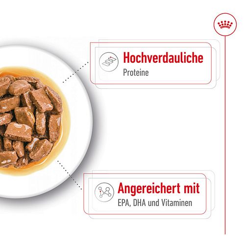 Royal Canin MAXI Ageing 8+ - Nassfutter für ältere große Hunde - VOLLE VE - 10 x 140 g