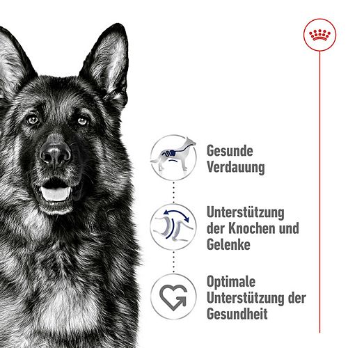 Royal Canin MAXI Adult Trockenfutter für große Hunde 4kg