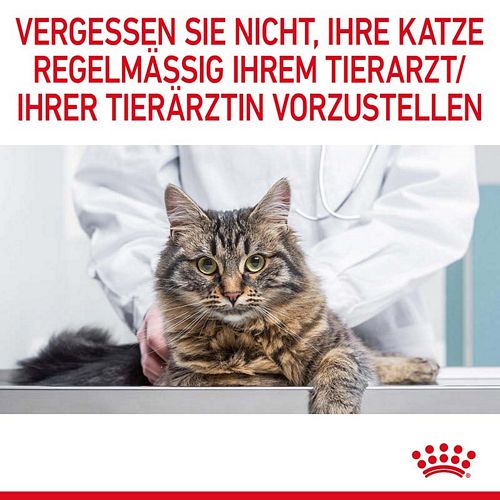 Royal Canin Urinary Care Jelly