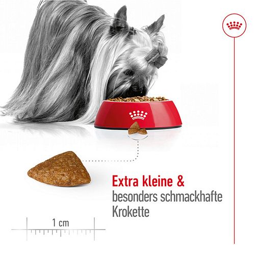 Royal Canin X-SMALL Ageing 12+ Trockenfutter für ältere sehr kleine Hunde 1,5kg