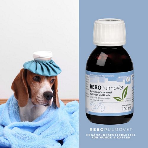 reboVet - REBO-PULMO-Vet - 100 ml