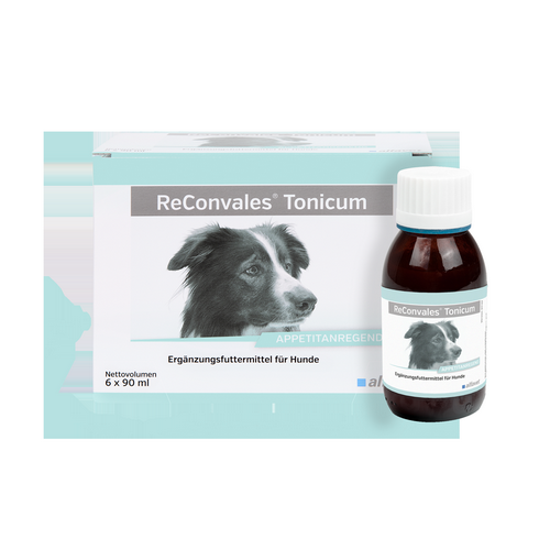 alfavet ReConvales Tonicum - HUND - VOLLE VE - 6 x 90 ml