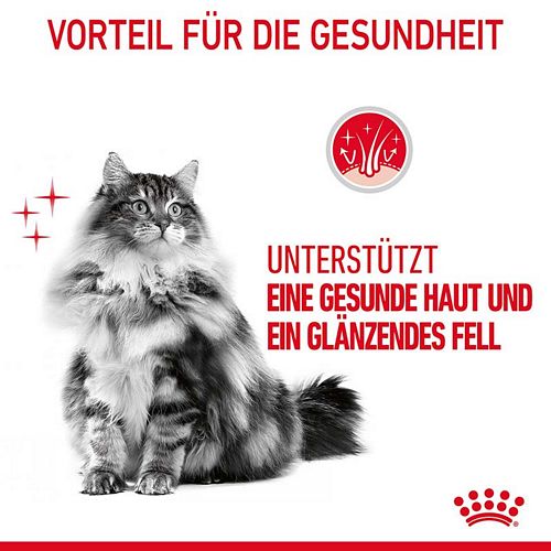 Royal Canin Hair & Skin Loaf 