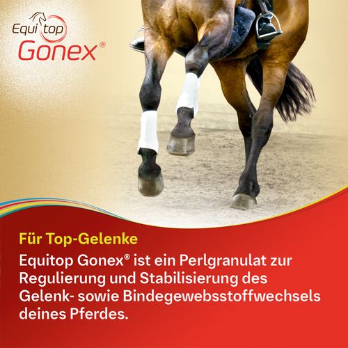 Equitop Gonex Perlgranulat von Boehringer Ingelheim 750g