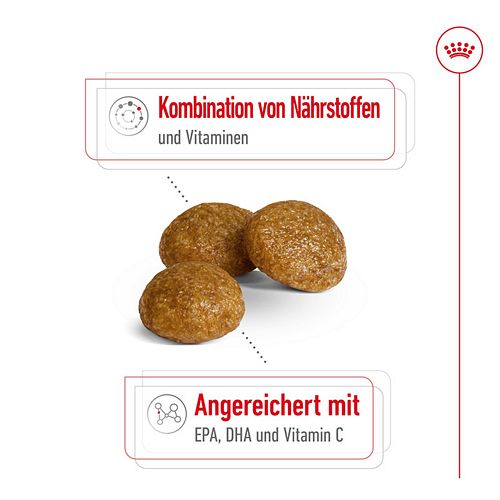 Royal Canin X-SMALL Adult 8+ Trockenfutter für sehr kleine Hunde 500g