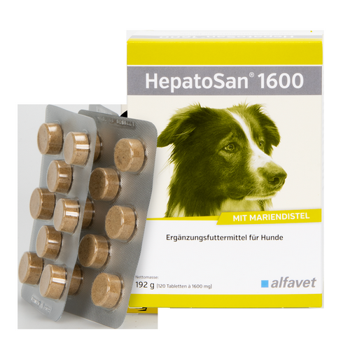 alfavet HepatoSan - 1600 - 1 x 120 Tabletten