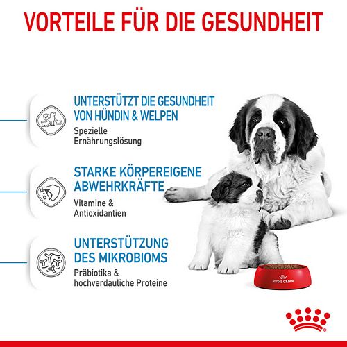 Royal Canin GIANT Starter für tragende Hündin und Welpen sehr großer Rassen 15 kg 