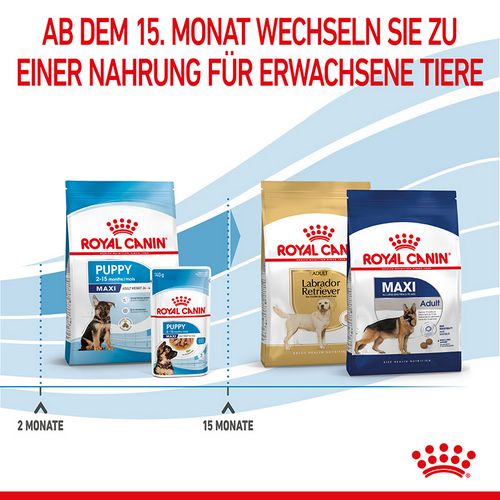 Royal Canin - MAXI PUPPY - Trockenfutter Hund - 4 kg