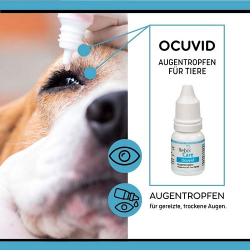 reboVet - ReboCare - OCUVID - Augentropfen - 10 ml